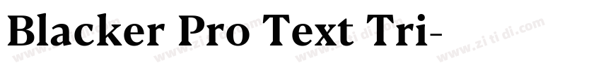 Blacker Pro Text Tri字体转换 Blacker Pro Text Tri字体转换